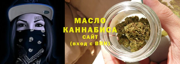 гидра Верхний Тагил