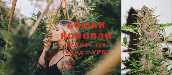 прущая мука Верея