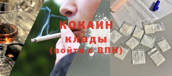 гидра Верхний Тагил
