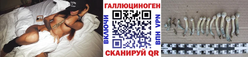 shop формула  Западная Двина  Галлюциногенные грибы MAGIC MUSHROOMS 